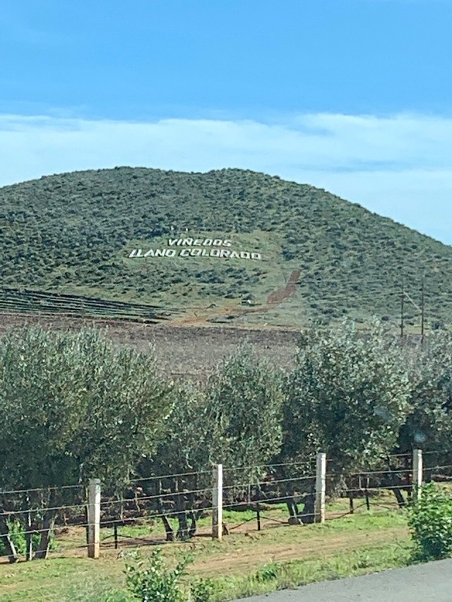 This image has an empty alt attribute; its file name is img_4301.jpg